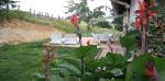 vue sur le jardin
